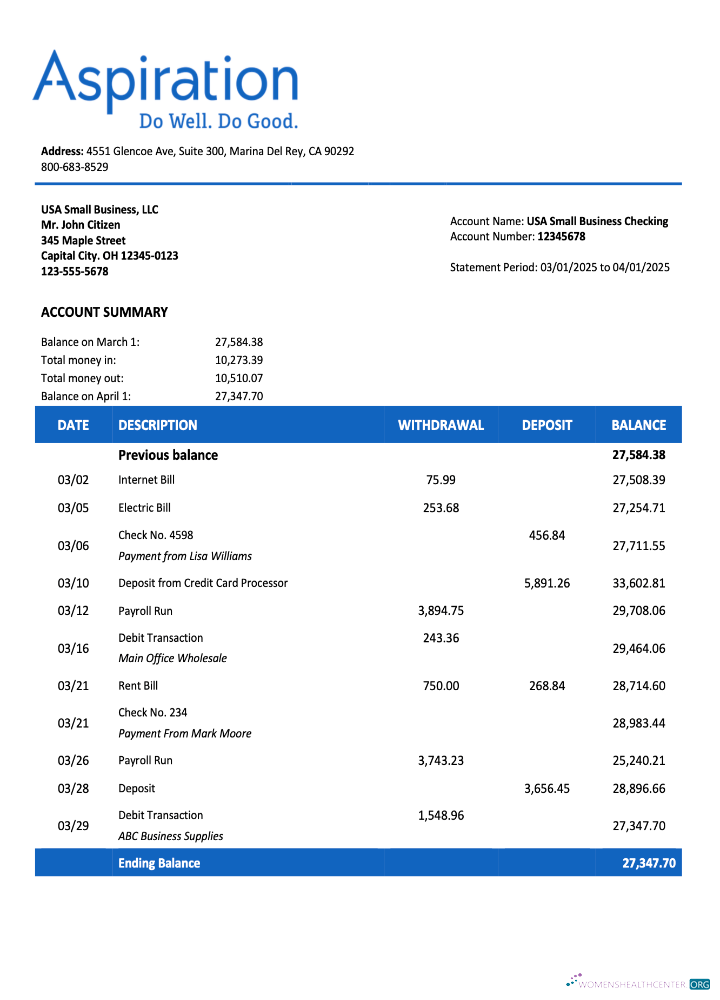 Download USA Aspirationfirm account statement Word and PDF template Photoshop template